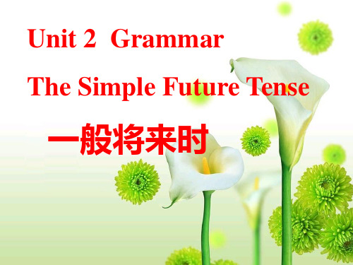 Unit_2__Neighbours__Grammar