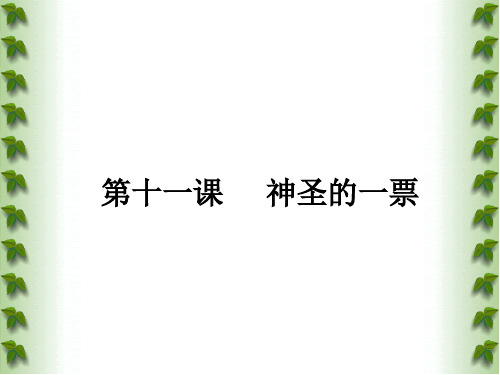 神圣的一票PPT课件