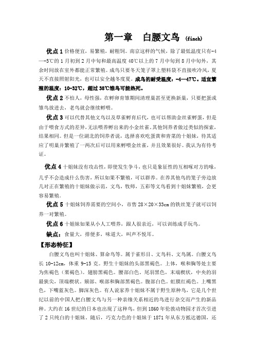 白腰文鸟饲养与繁殖由于是个人真实的饲养经验,谢绝一切转载。