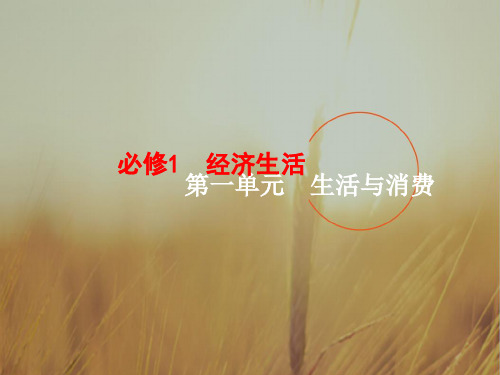 2019届高三一轮复习必修一政治课件：1-1神奇的货币 精品