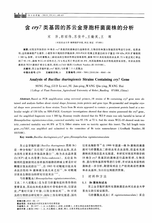 含cry7类基因的苏云金芽胞杆菌菌株的分析