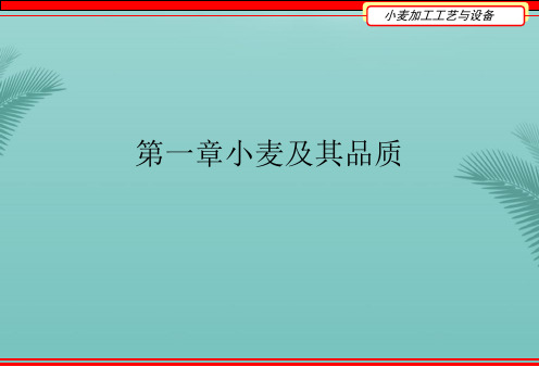 小麦及其品质(精选优秀)PPT