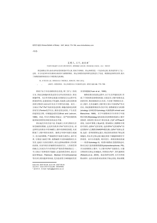 植物铁吸收、转运和调控的分子机制研究进展