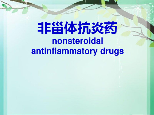 非甾体抗炎药 PPT课件