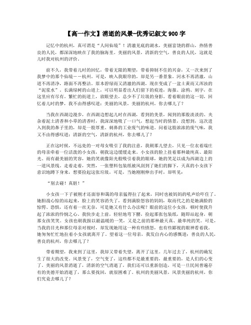 【高一作文】消逝的风景-优秀记叙文900字