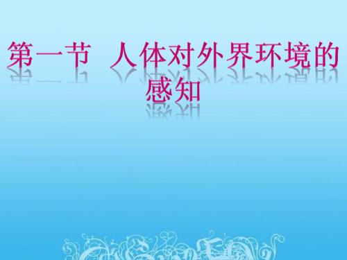 第一节《人体对外界环境的感知》PPT课件
