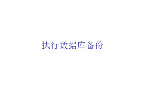 oracle10g执行数据库备份