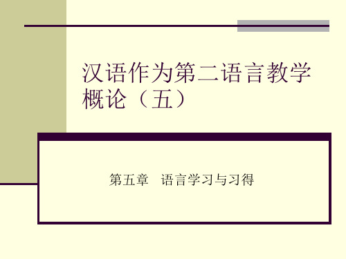 汉语作为第二语言教学概论(五语言学习与习得)分析