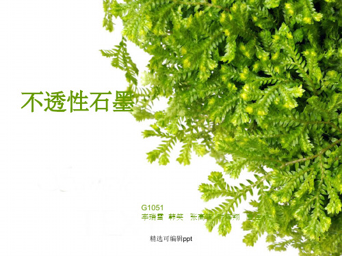 不透性石墨