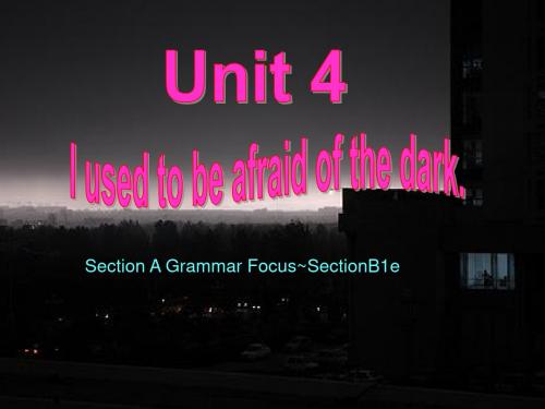 人教新课标九年级全册英语课件 unit4  I used to be a