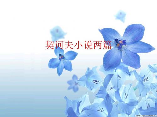 语文：第47课《契诃夫小说两篇》课件(沪教版五四制八年级上)