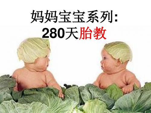 妈妈宝宝系列：280天胎教 (爱的表达+情绪胎教+营养胎教+自我的需要+胎教音乐) 精品