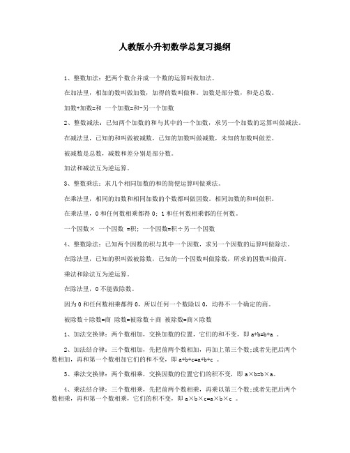 人教版小升初数学总复习提纲