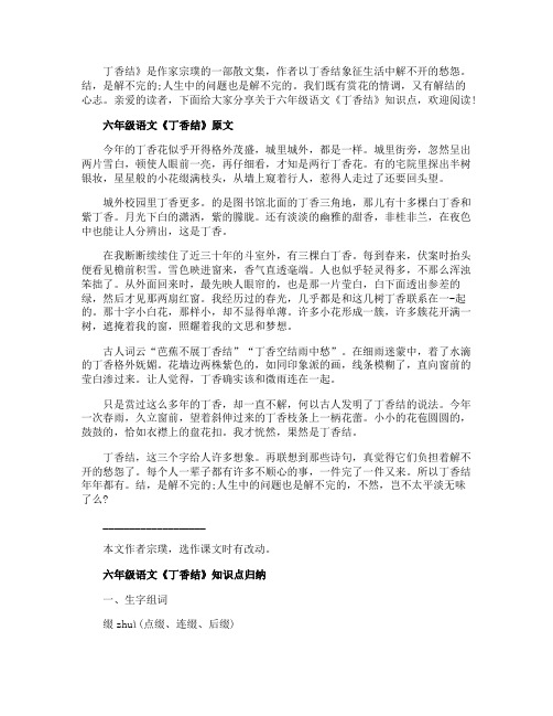 六年级语文《丁香结》知识点