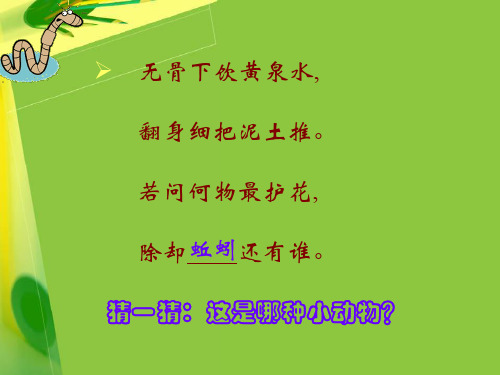 苏科版生物七下5.13.1《土壤里的小动物》课件(共23张PPT)