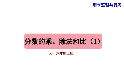人教版六年级数学上册期末总复习课件
