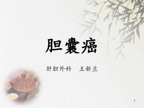 胆囊癌PPT课件