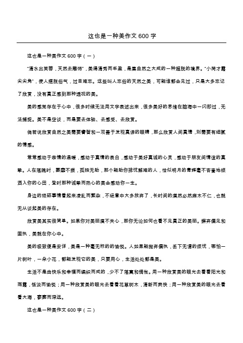这也是一种美作文600字