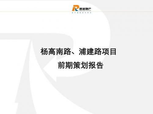 普润地产上海市杨高南路、浦建路项目前期策划报告