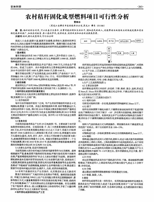 农村秸秆固化成型燃料项目可行性分析
