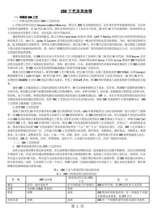 SBR工艺及改型10页