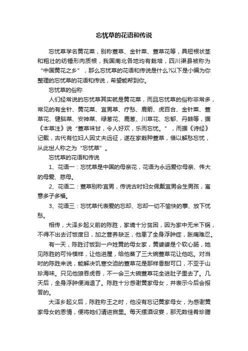 忘忧草的花语和传说