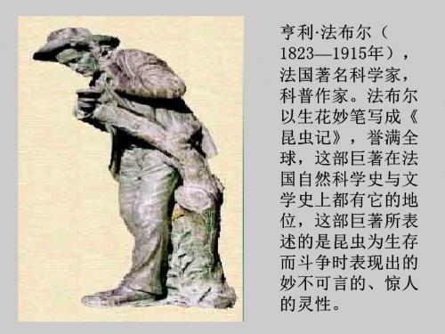 装满昆虫的口袋PPT课件