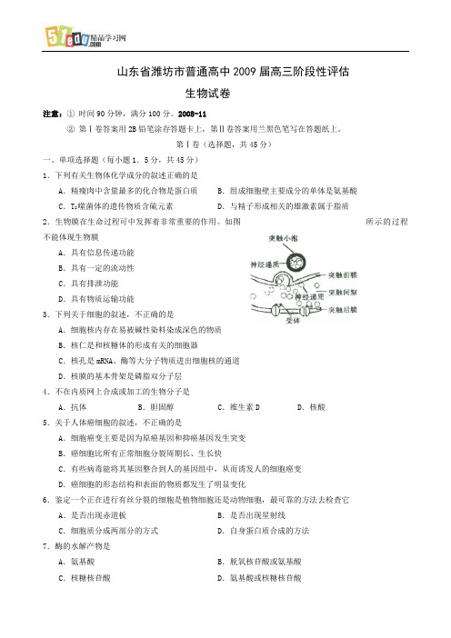 山东省潍坊市普通高中2009届高三阶段性评估生物试卷