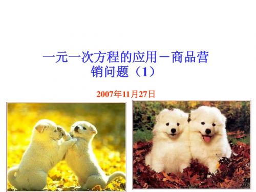 3.3一元一次方程的解--盈亏问题(3)