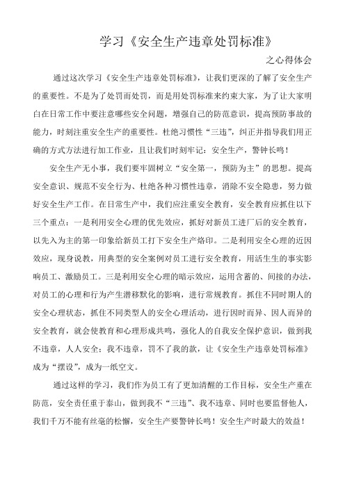 学习安全生产违章处罚标准之心得体会
