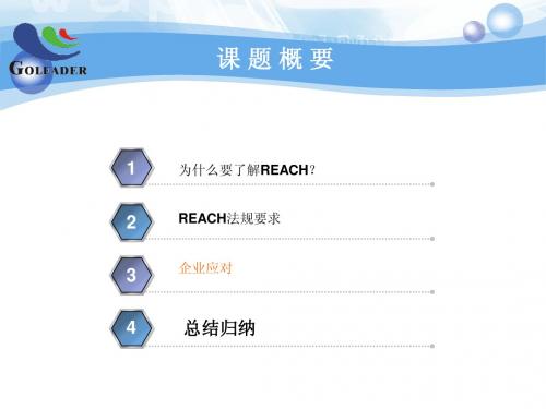 REACH 课件