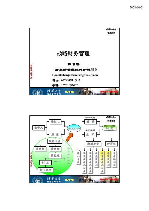 战略财务管理(讲义--清华教授--陈晋蓉)