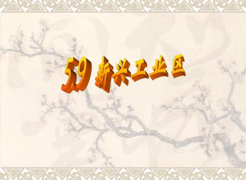 2019PPT-新兴工业区