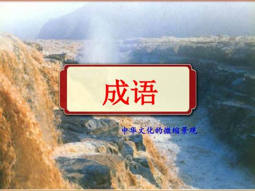成语——中华文化的微缩景观