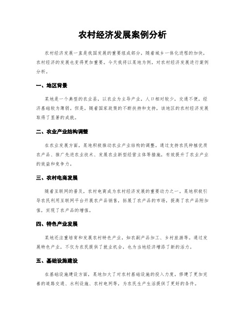 农村经济发展案例分析