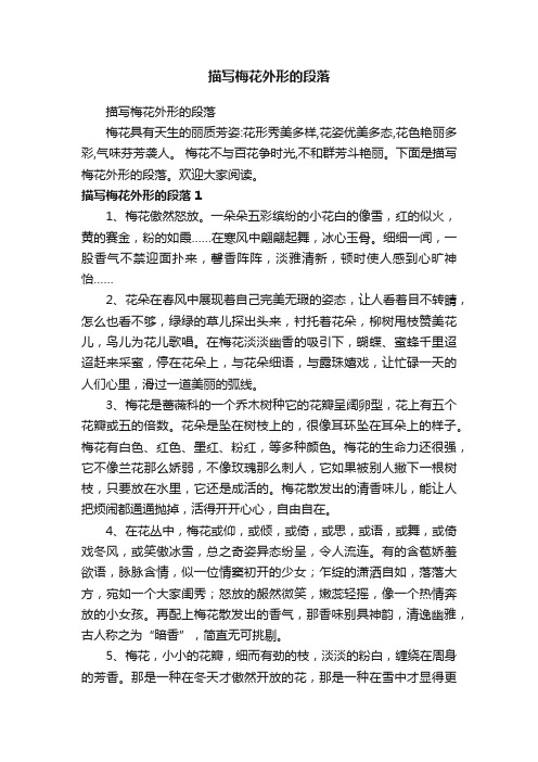 描写梅花外形的段落