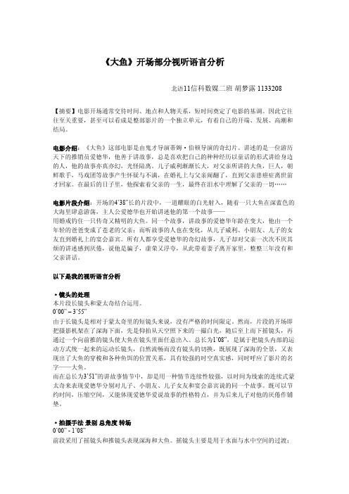 《大鱼》开场部分视听语言分析