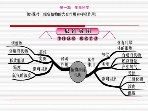第5课时 绿色植物的光合作用和呼吸作用