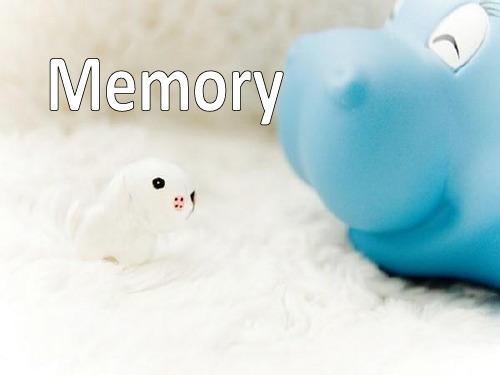 英语PPTMemory