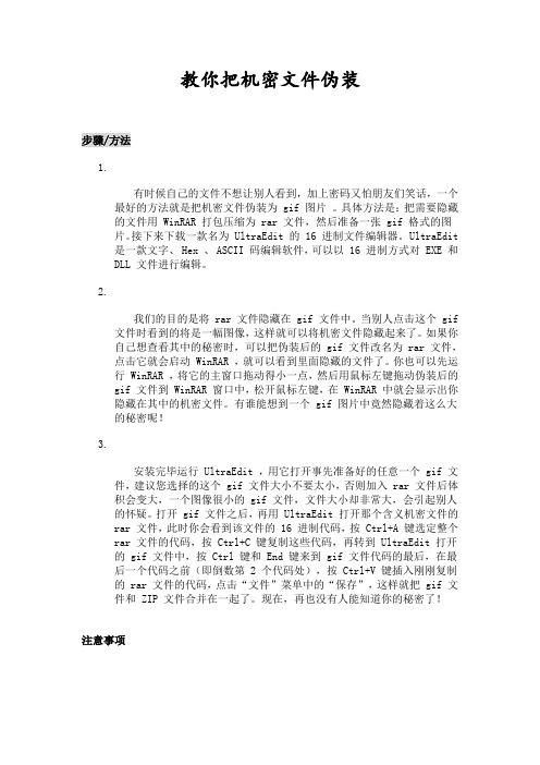 教你把机密文件伪装