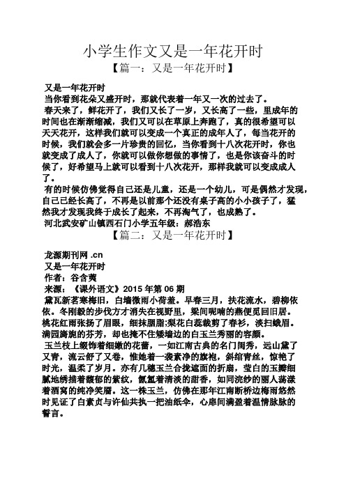 六年级作文之小学生作文又是一年花开时