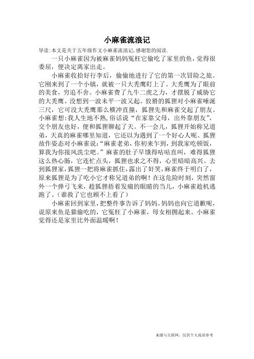 小麻雀流浪记_五年级作文