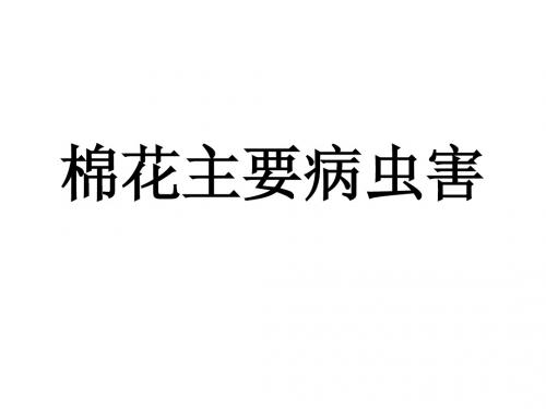 棉花主要病虫害