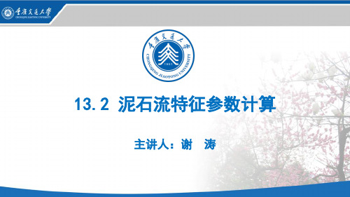 边坡与地质灾害防治工程_ 泥石流灾害防治工程_132 泥石流特征参数计算_