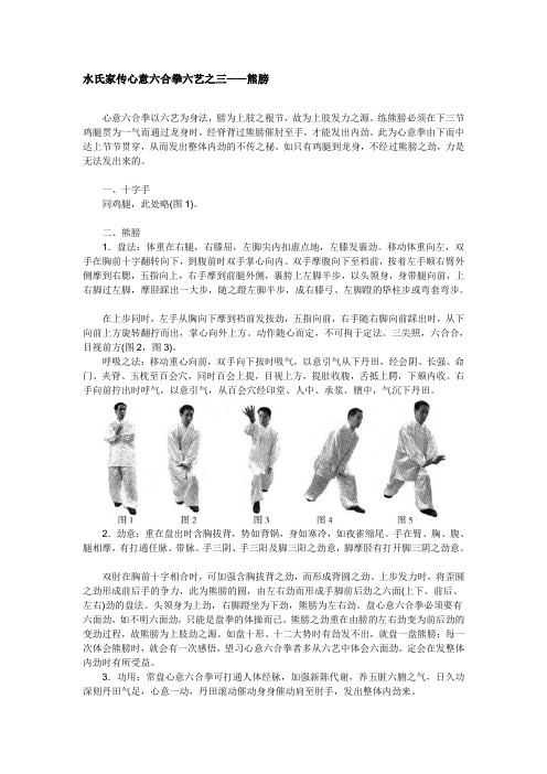 水氏家传心意六合拳六艺 03