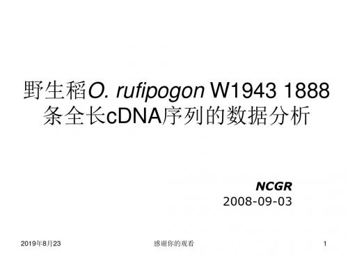 野生稻O. rufipogon W1943 1888条全长cDNA序列的数据分析.ppt