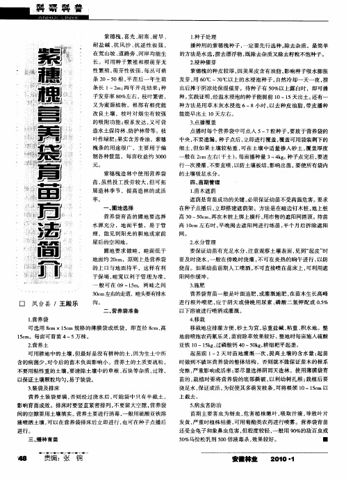 紫穗槐营养袋育苗方法简介