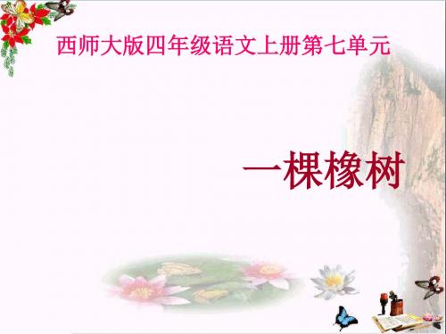 四年级语文上册 第七单元 一棵橡树课件4 西师大版