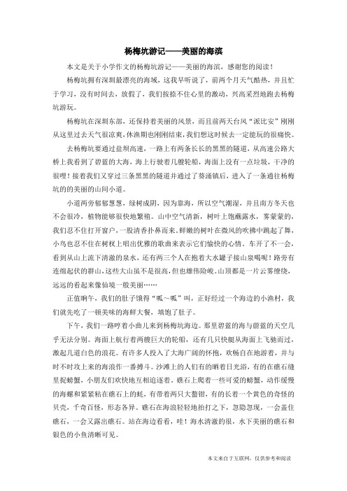 杨梅坑游记——美丽的海滨_小学作文