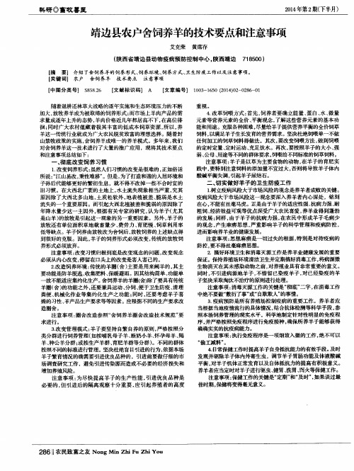 靖边县农户舍饲养羊的技术要点和注意事项